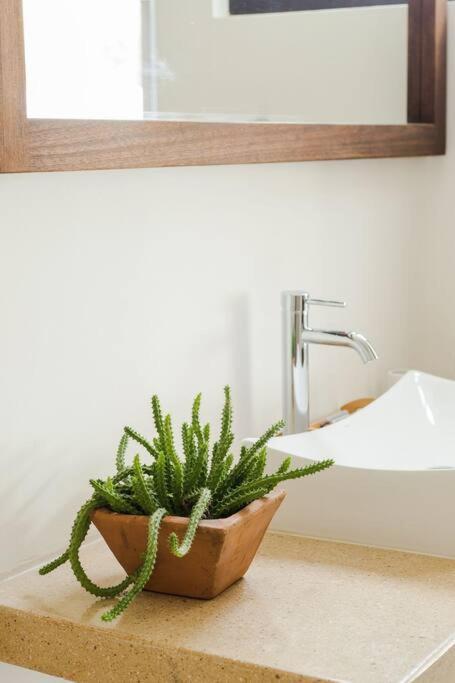 Neem 31 Comfortable, Luxury Apartment 10 Min To The Beach 툴룸 외부 사진